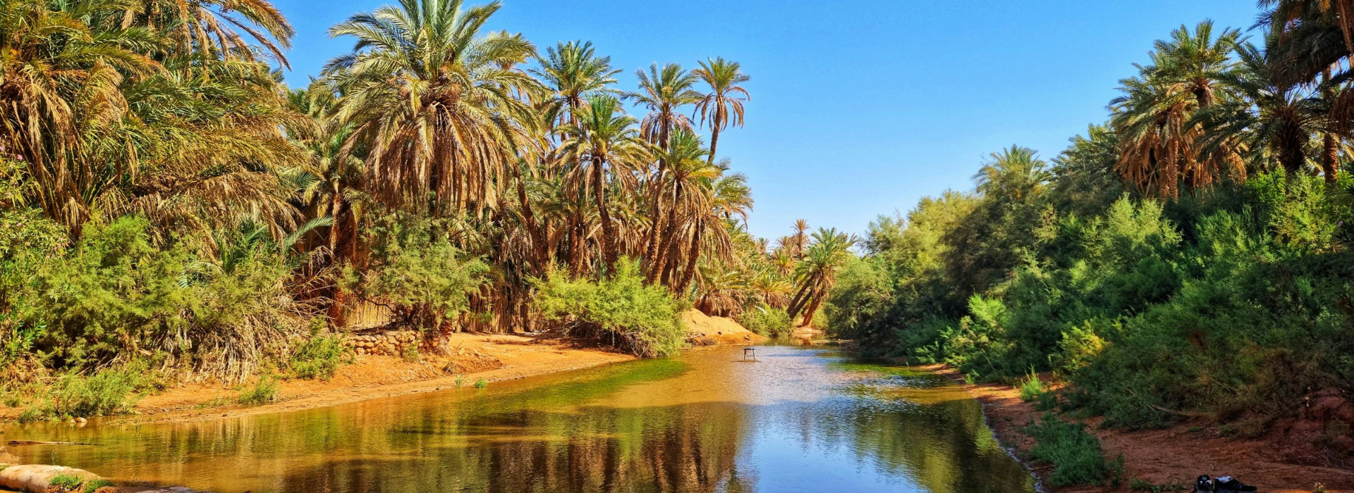 Sorties & Randonnées Planet Algeria