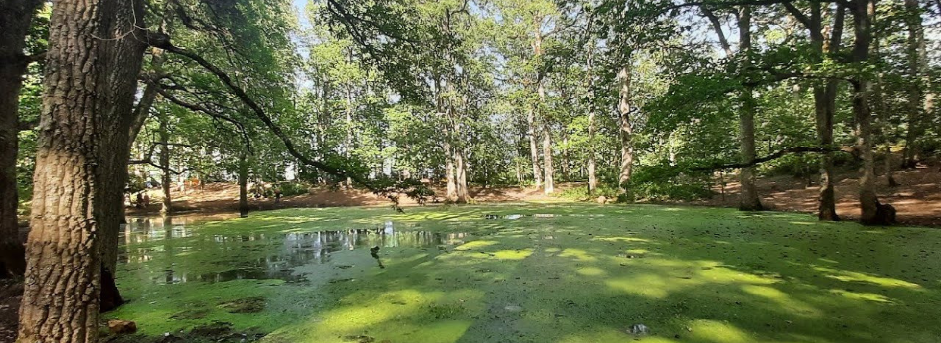 Lac Vert Planet Algeria